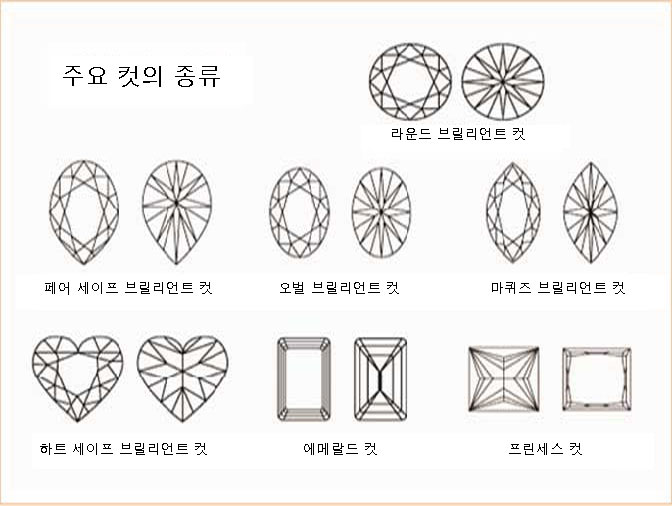 컷/형상(SHAPE&CUT)